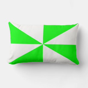 Limoengroen en Witte Pinwheel Kussen