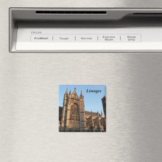 Limoges - magneet (Insitu (Vaatwasser))