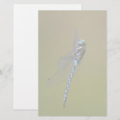 limonade briefpapier (Voorkant / Achterkant)