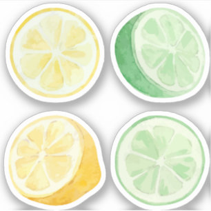 Limonade citroen en groene limoenen watercolor set sticker