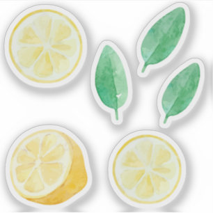 Limonade gele citroenschijfjes aquarelset sticker