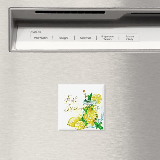 limonade magneet (Insitu (Vaatwasser))