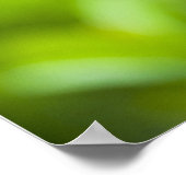 limonade poster (Hoek)