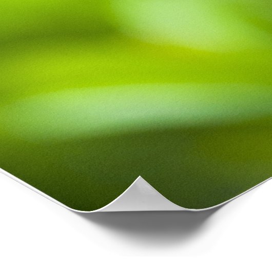 limonade poster (Hoek)