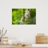 limonade poster (Keuken)