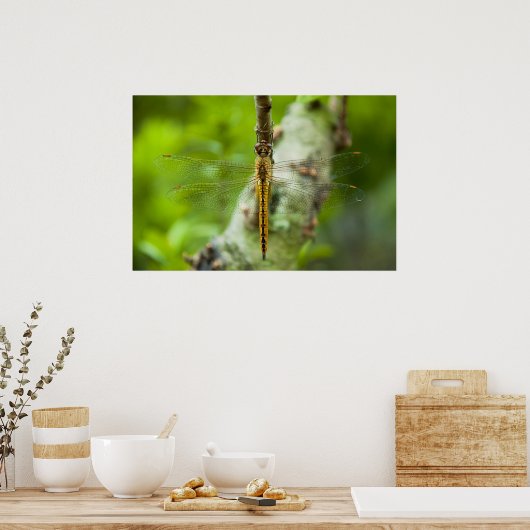 limonade poster (Keuken)