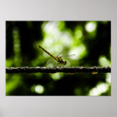 limonade poster (Voorkant)