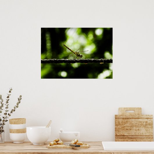 limonade poster (Keuken)