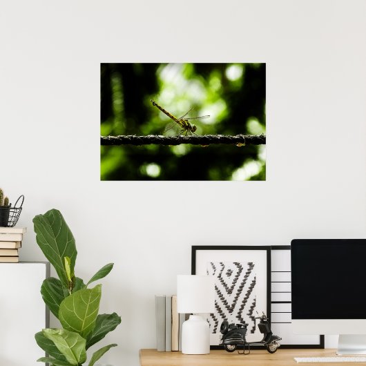 limonade poster (Thuiskantoor)