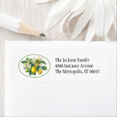 Limonenboom Takken Watercolor Label (Insitu)