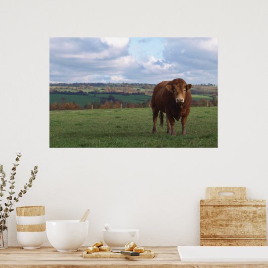 Limousin Bull Print (Keuken)