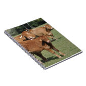 Limousin kalf en koeien notitieboek (Rechterzijde)