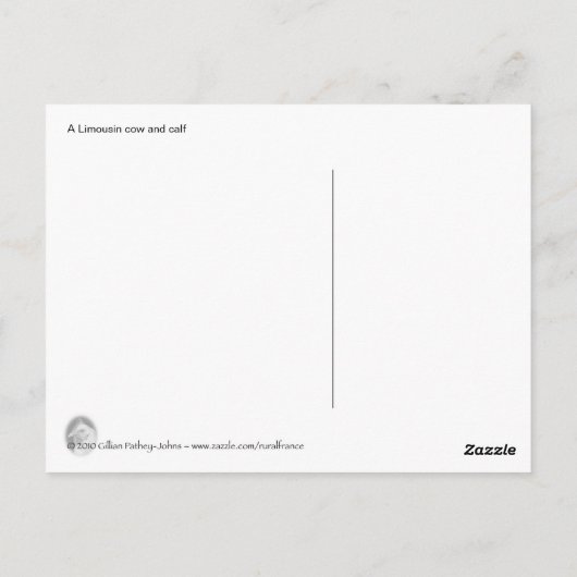 Limousin koe en kalf briefkaart (Achterkant)