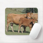 limousin koe en kalf mousepad muismat (Met muis)