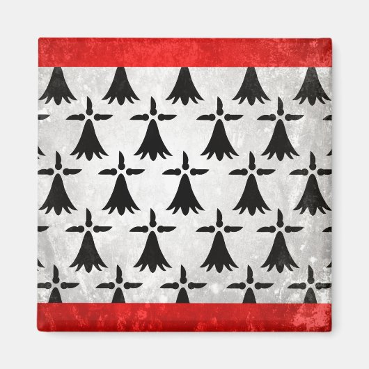 Limousin Magneet (Voorkant)