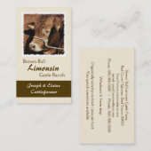 Limousin-stier in een halter visitekaartje (Voorkant / Achterkant)