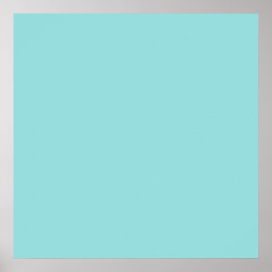 Limpet Shell Blue Color Background Robin Egg Blue Poster (Voorkant)
