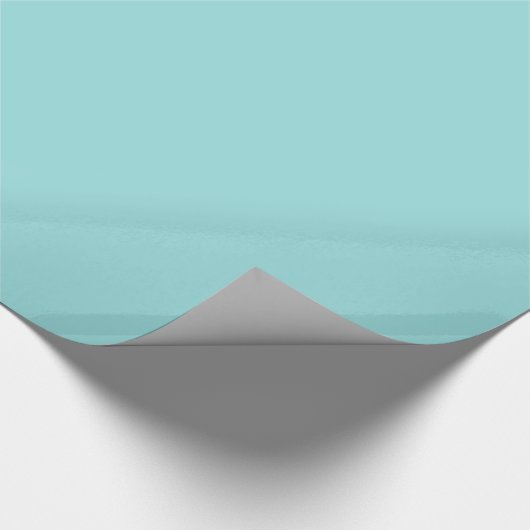 Limpet Shell Cadeaupapier (Hoek)