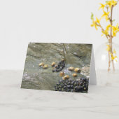 Limpets en mosselen in de Sun Greetings Kaart (Gele Bloem)