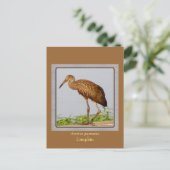 LImpkin Briefkaart (Staand voorkant)