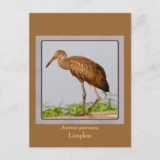 LImpkin Briefkaart (Voorkant)
