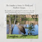 Limpkin - Briefkaart leren - Florida (Voorkant / Achterkant)