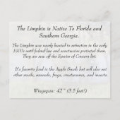 Limpkin - Briefkaart leren - Florida (Achterkant)