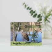 Limpkin - Briefkaart leren - Florida (Staand voorkant)