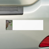 Limpkin Bumpersticker (Op auto)