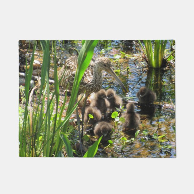 Limpkin-familie - Mam en kippen - Deurmat (Voorkant)