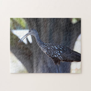 Limpkin Legpuzzel