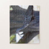 Limpkin Legpuzzel (Verticaal)