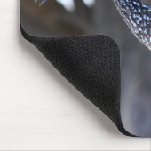 Limpkin Muismat (Hoek)