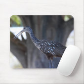 Limpkin Muismat (Met muis)