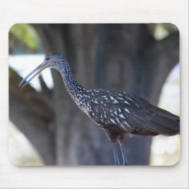 Limpkin Muismat