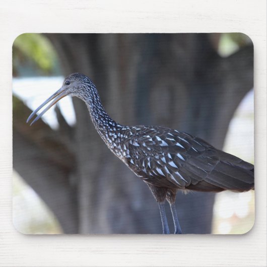 Limpkin Muismat (Voorkant)