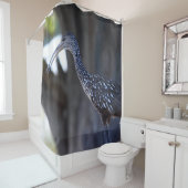 Limpkin, The Crying Bird Douchegordijn (In situ)