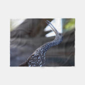 Limpkin, The Crying Bird Fleece Deken (Voorkant (Horizontaal))