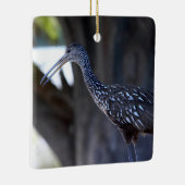 Limpkin, The Crying Bird Keramisch Ornament (Rechts)