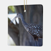 Limpkin, The Crying Bird Keramisch Ornament (Links)
