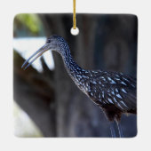 Limpkin, The Crying Bird Keramisch Ornament (Achterkant)