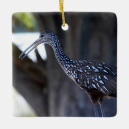 Limpkin, The Crying Bird Keramisch Ornament