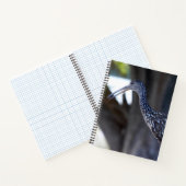 Limpkin, The Crying Bird Notitieboek (Binnen)