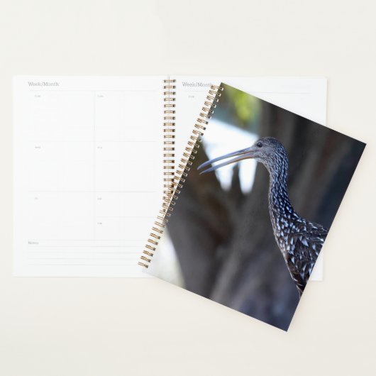 Limpkin, The Crying Bird Planner (Display)