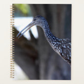 Limpkin, The Crying Bird Planner (Voorkant)