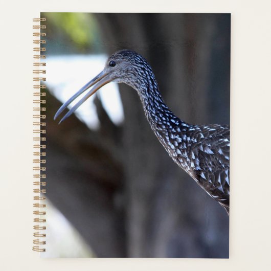 Limpkin, The Crying Bird Planner (Voorkant)