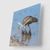 Limpkin-vogel personaliseren met zijn drie baby's vierkante klok (Hoek)