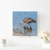 Limpkin-vogel personaliseren met zijn drie baby's vierkante klok (Huis)