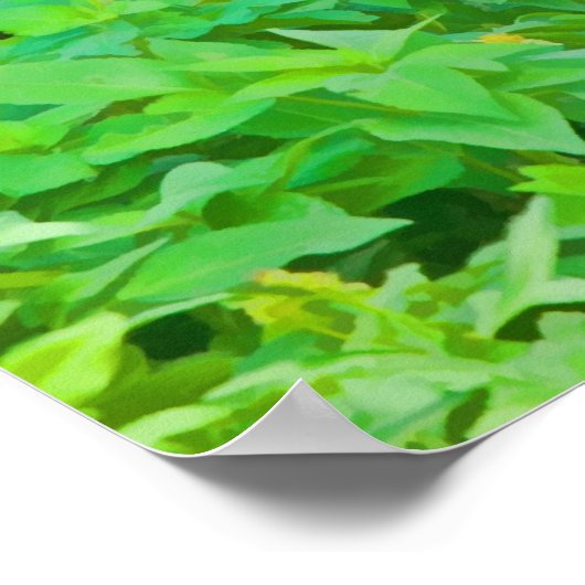 Limpkin, Zwembaldruk Poster (Hoek)