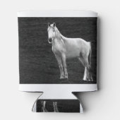 LIN10BW Stance.tif Blikjeskoeler (Achterkant)